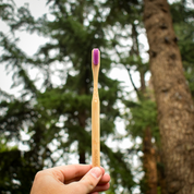 cepillo de dientes de bambú ortodoncia cerdas suaves morado Biobrush natural ecológico biodegradable