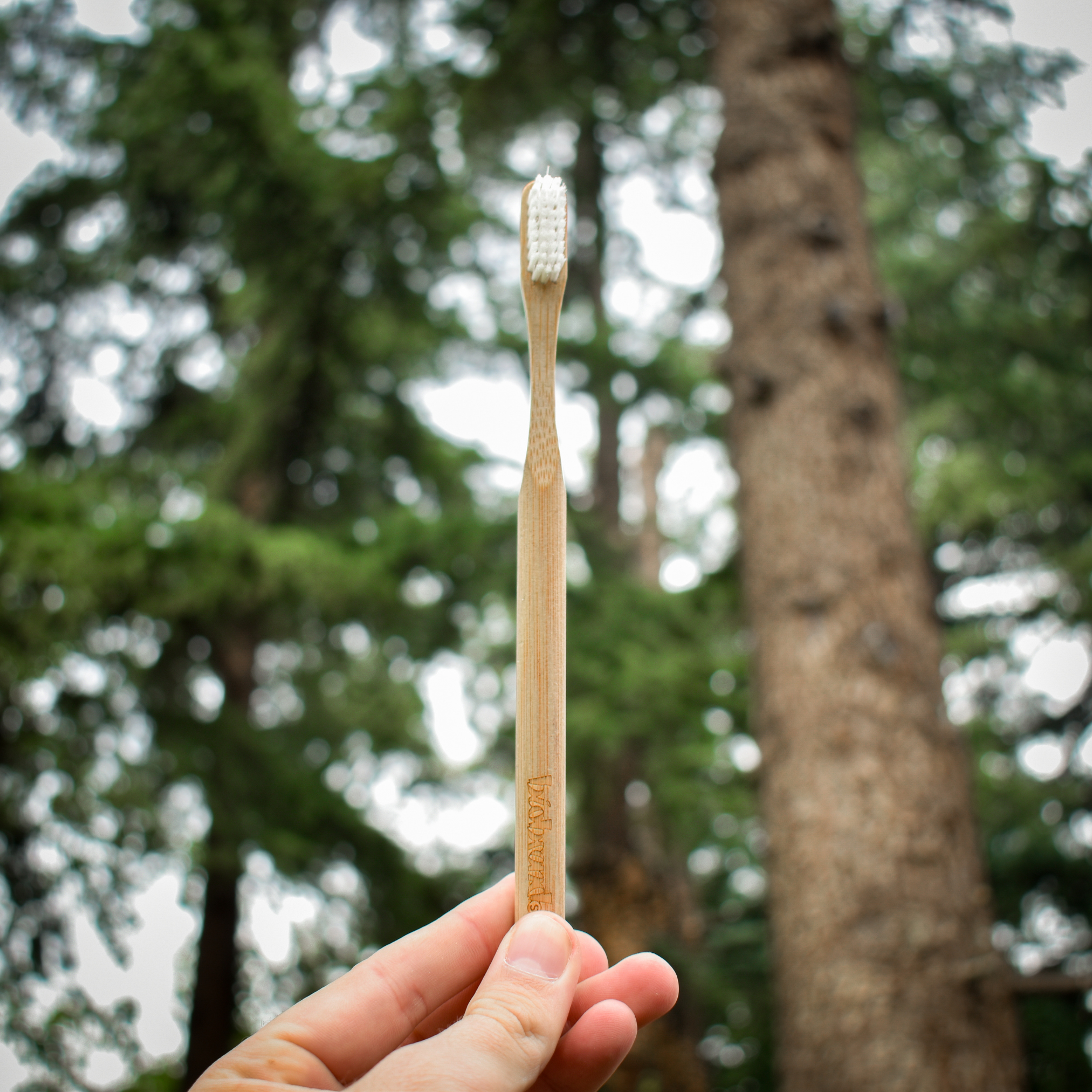 cepillo de dientes de bambú cerdas medias blanco Biobrands biodegradable