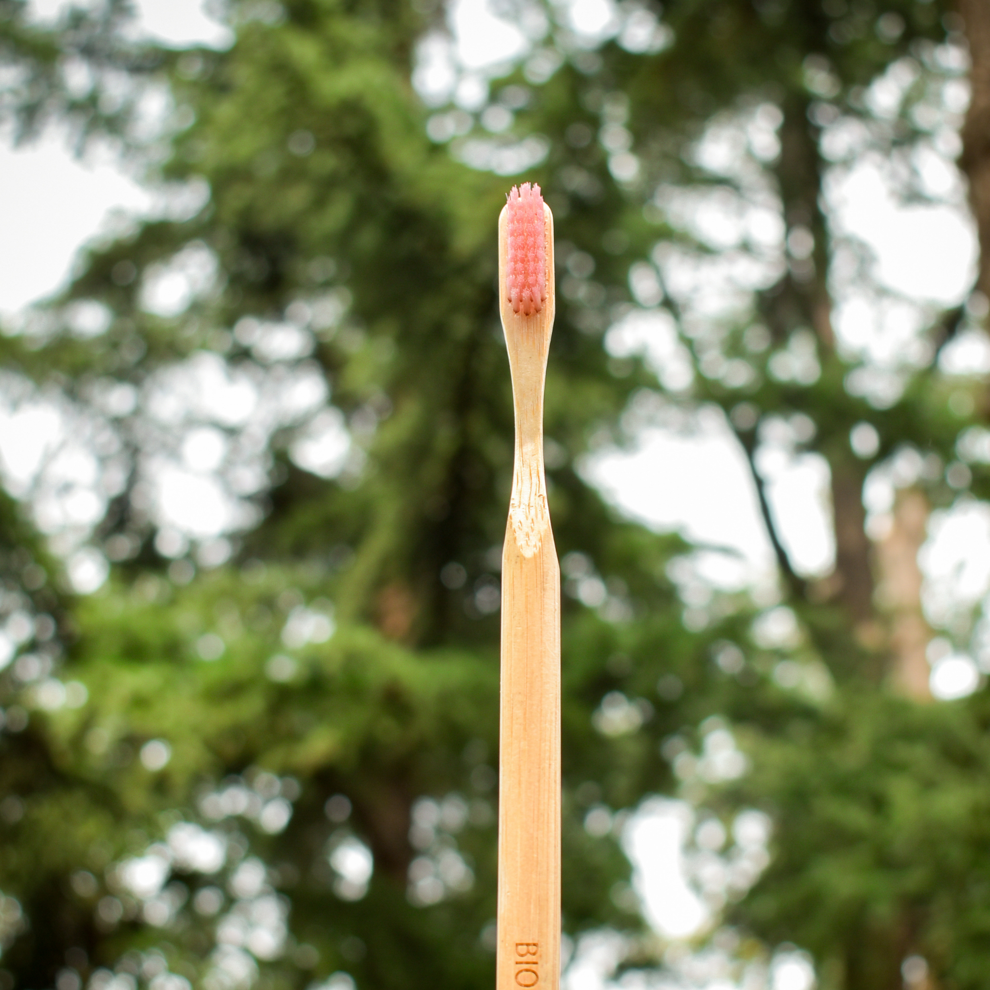 cepillo de dientes de bambú cerdas ultrasuaves rosado Biobrands natural ecológico biodegradable