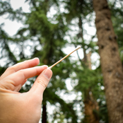 cotonitos de bambú Biobrands ecológicos naturales biodegradables