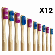 pack 12 cepillos de dientes de bambú cerdas suaves azul y morado Biobrands natural biodegradable