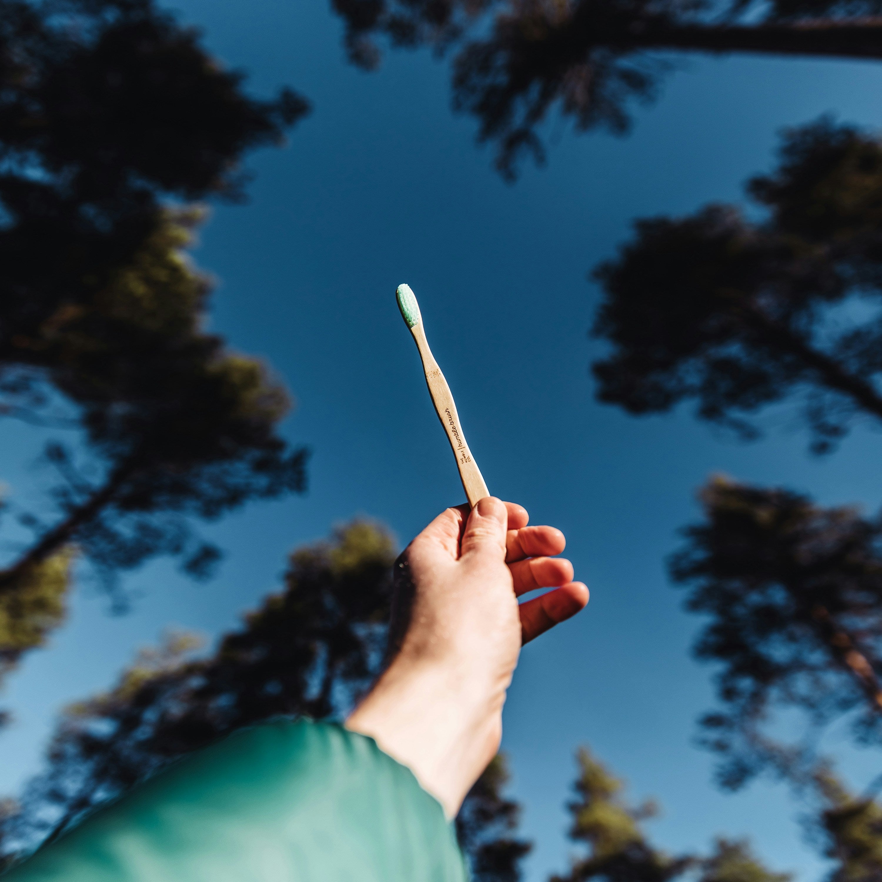 the-humble-co-iRkV3uZgJx0-unsplash.jpg