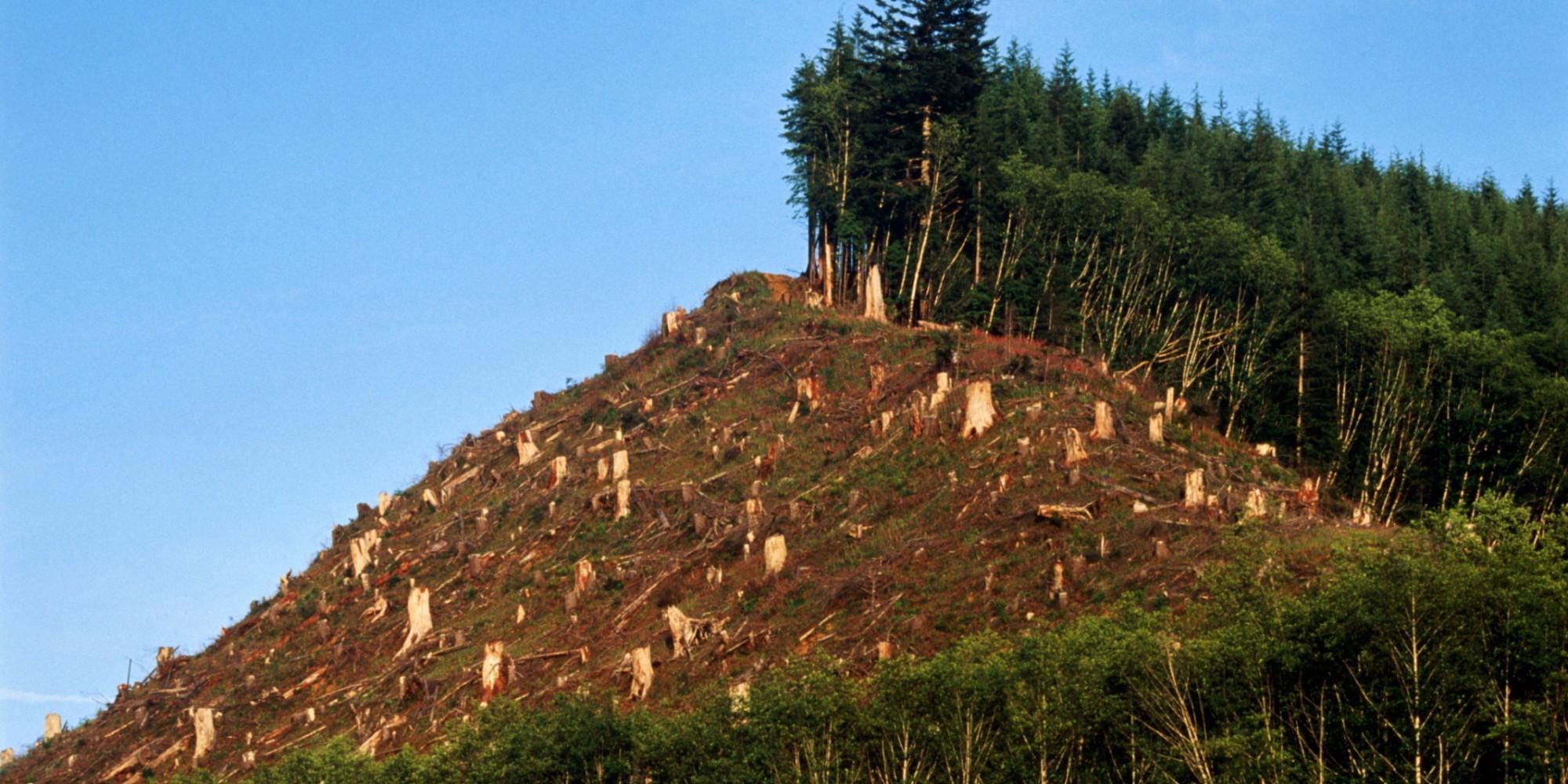 Chile, el Primer País Latinoamericano en Alcanzar el Sobregiro Ecológico