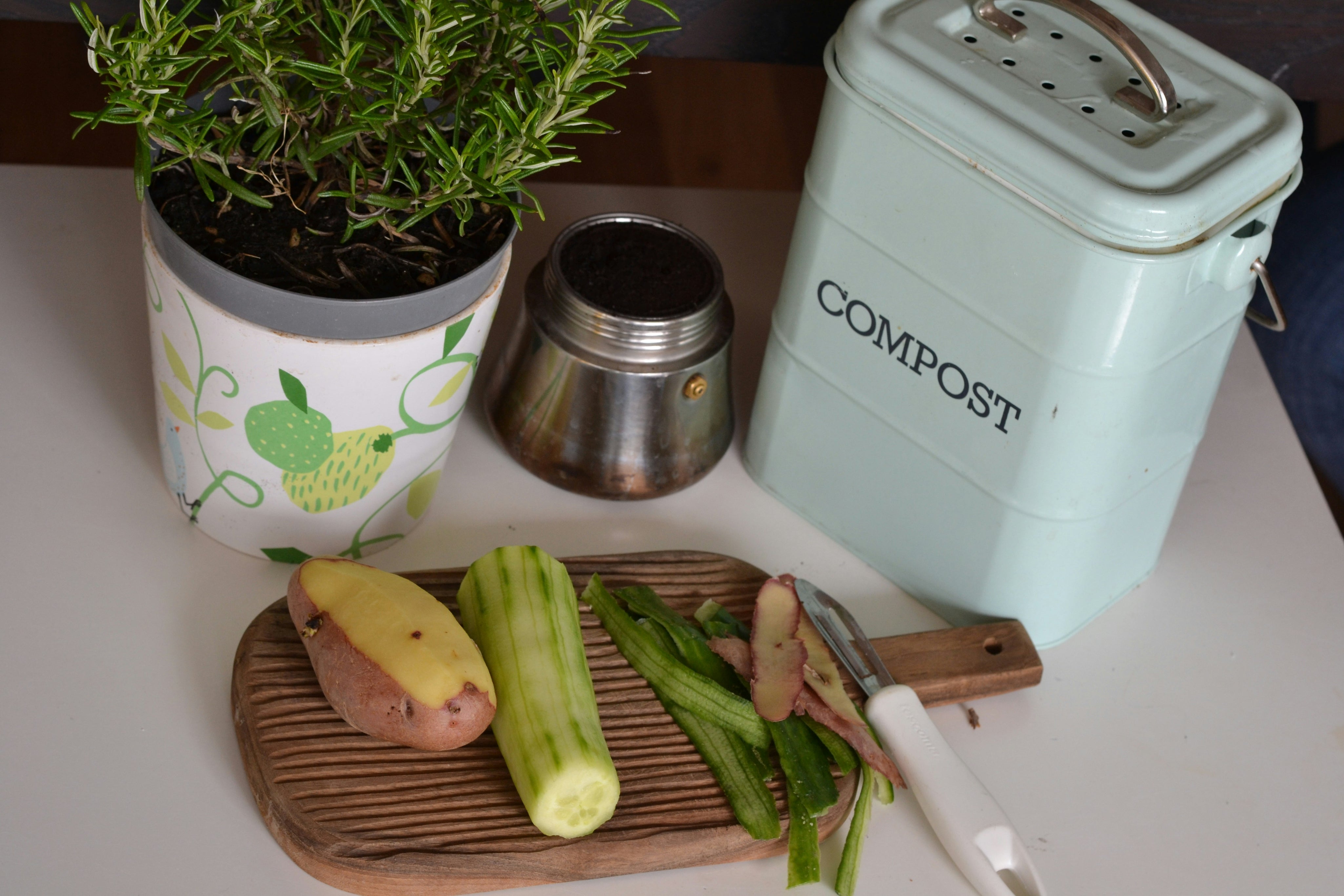 Los Beneficios de Compostar: Una Guía para un Futuro Sostenible 🌱♻️