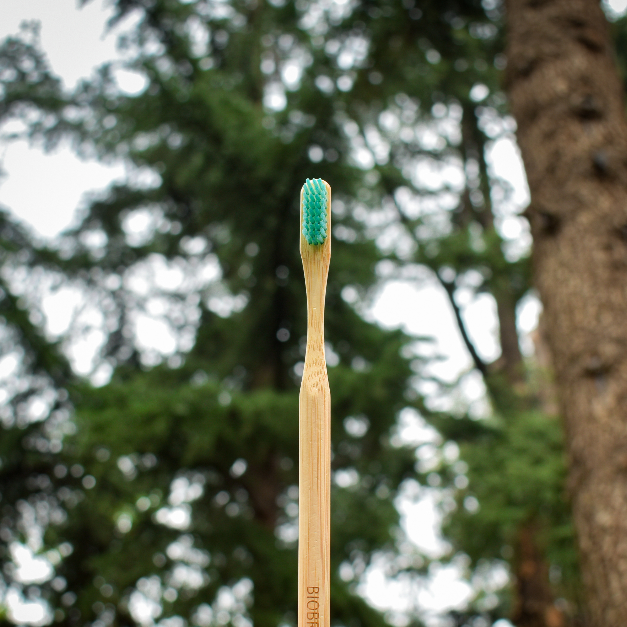 cepillo de dientes de bambú ortodoncia cerdas suaves menta Biobrush natural ecológico biodegradable