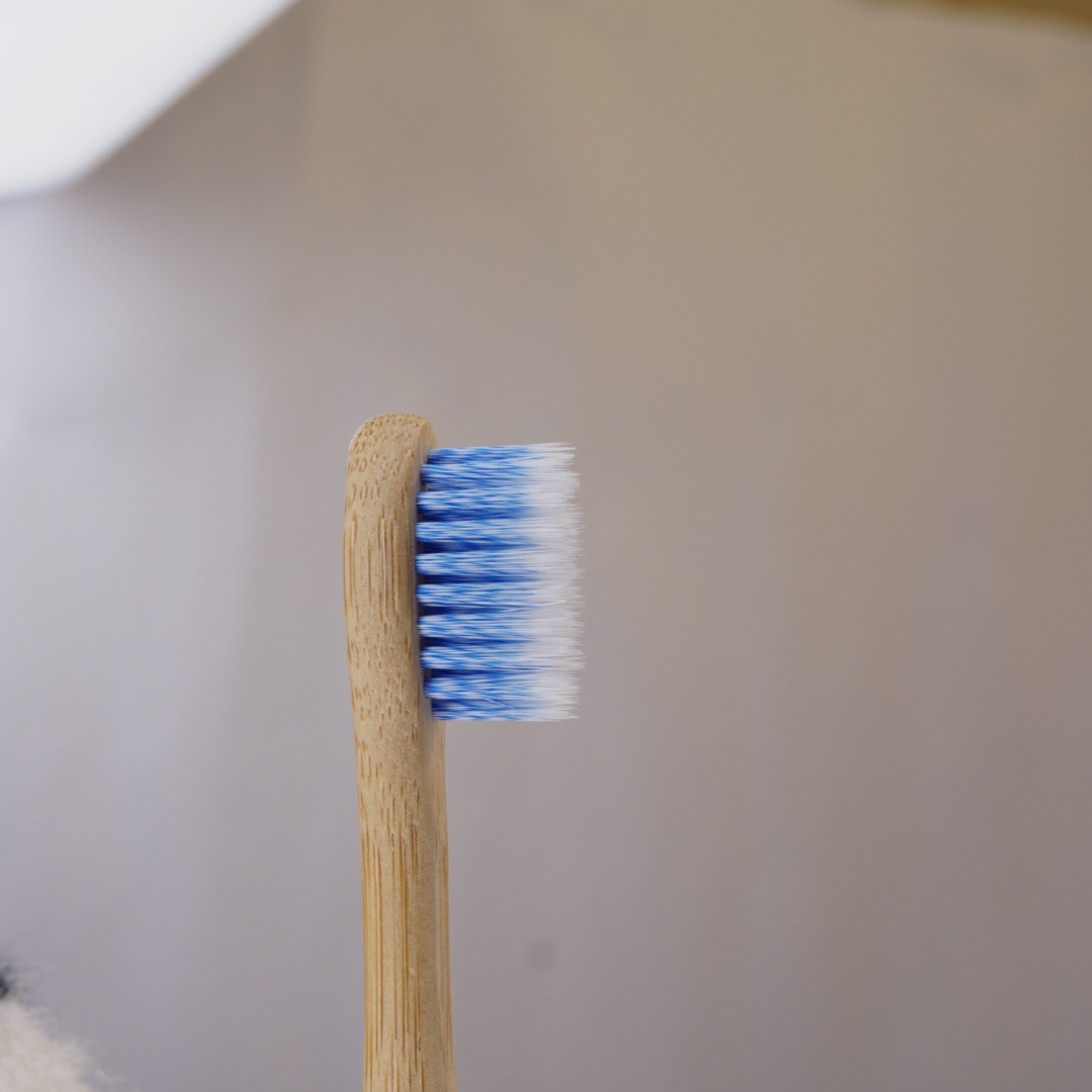 cepillo de dientes eléctrico con cabezal de bambú Biobrands sostenible