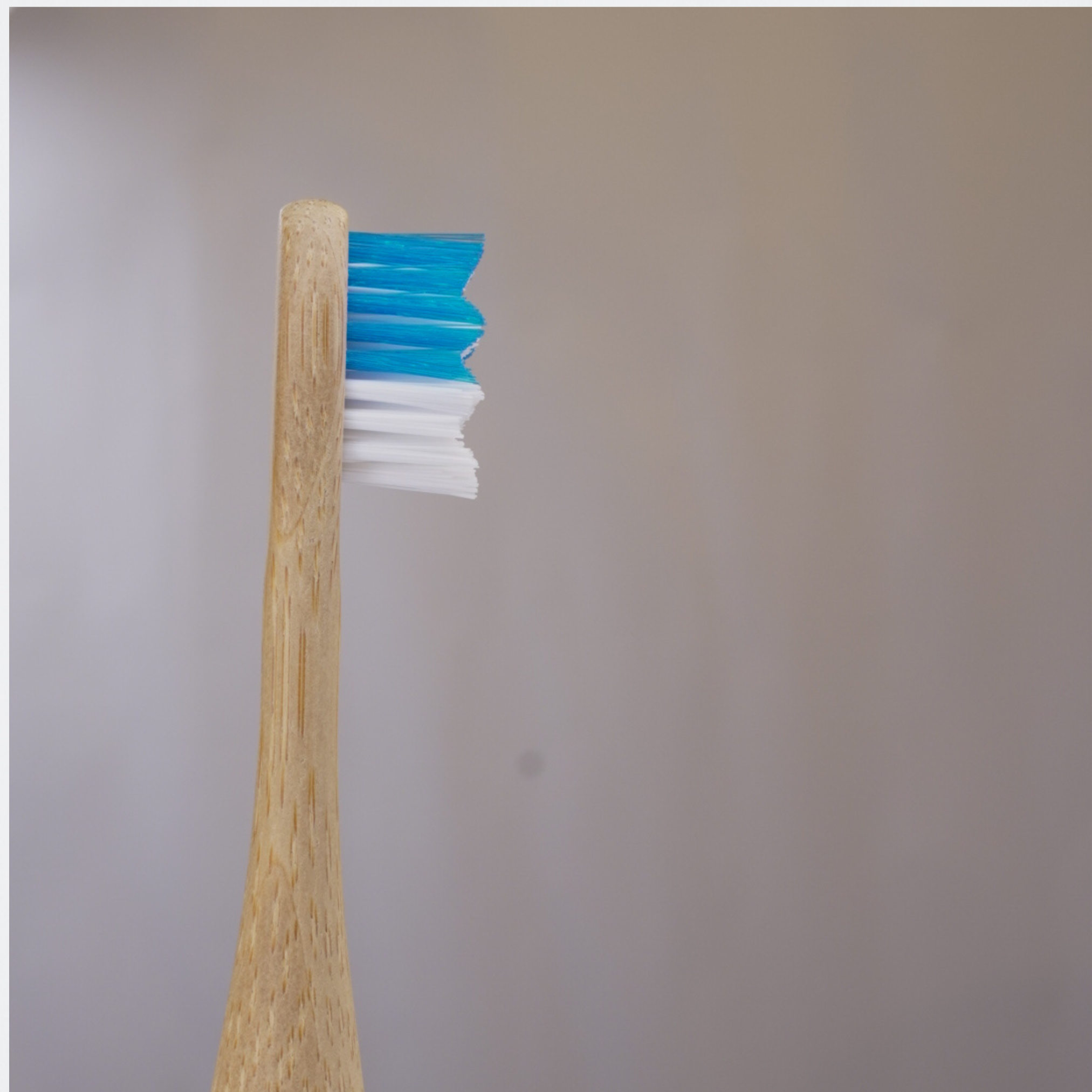 cepillo de dientes eléctrico con cabezal de bambú Biobrands sostenible
