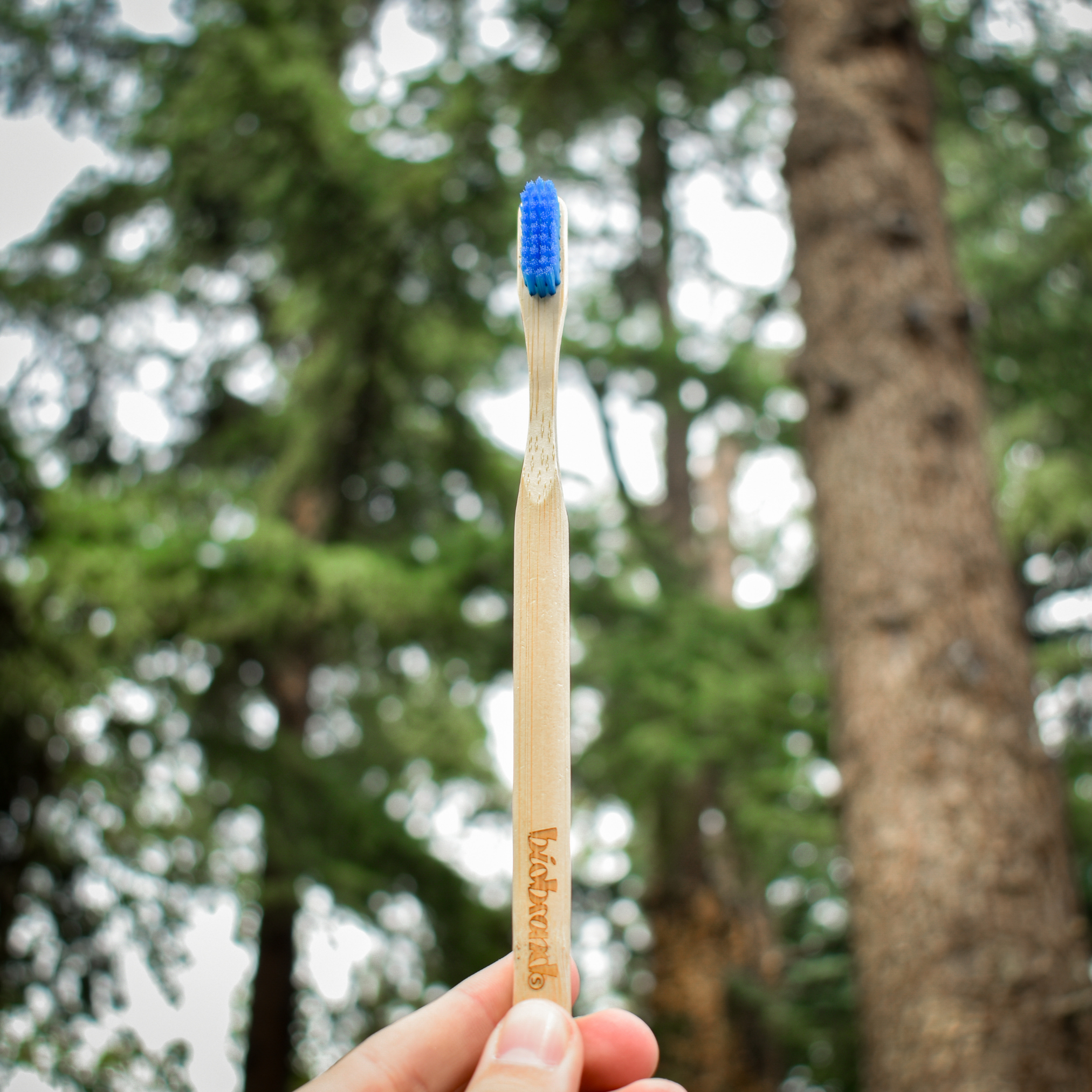 cepillo de dientes de bambú cerdas suaves azul Biobrands natural ecológico biodegradable