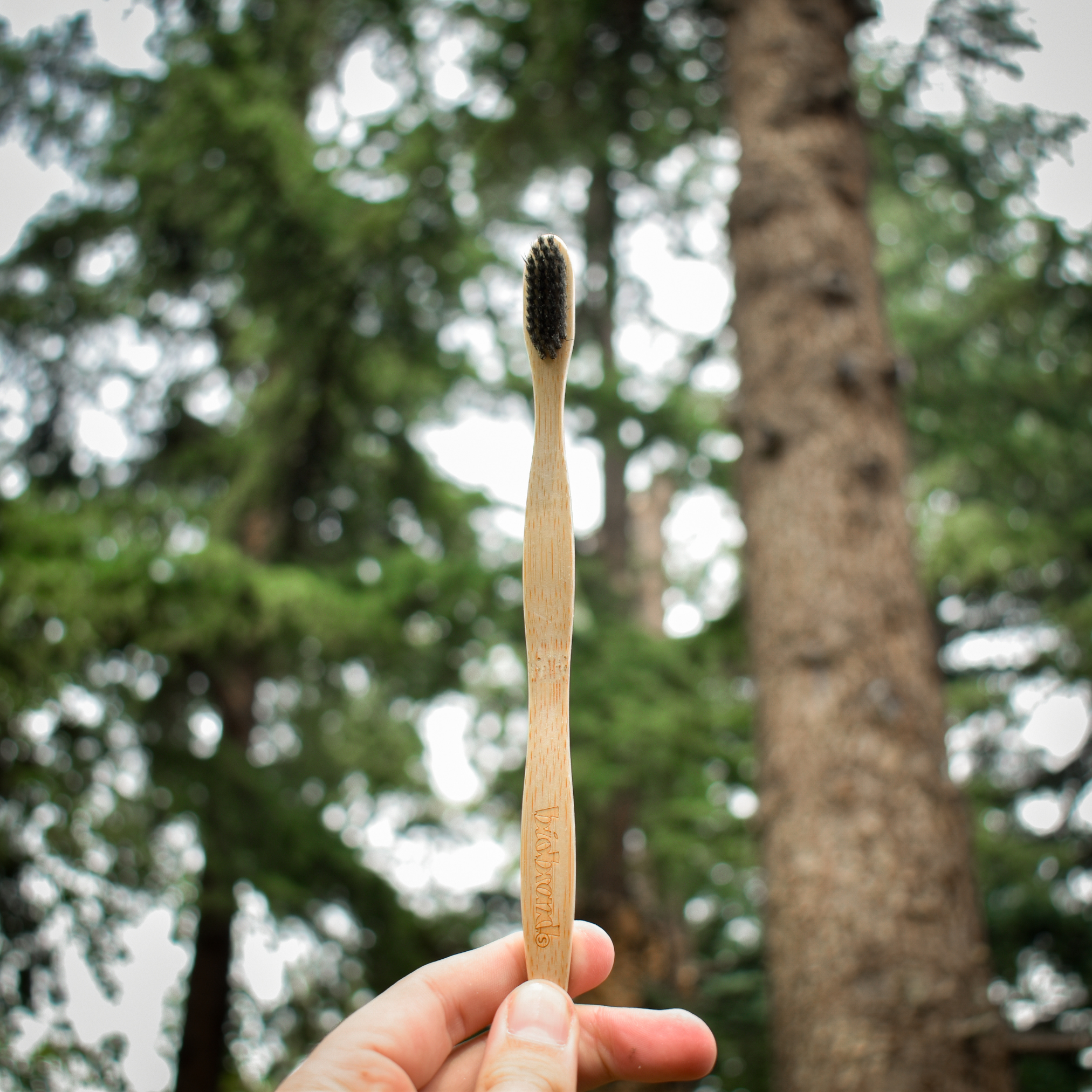 pack 3 cepillos de dientes ProSpiral negro Biobrands bambú natural