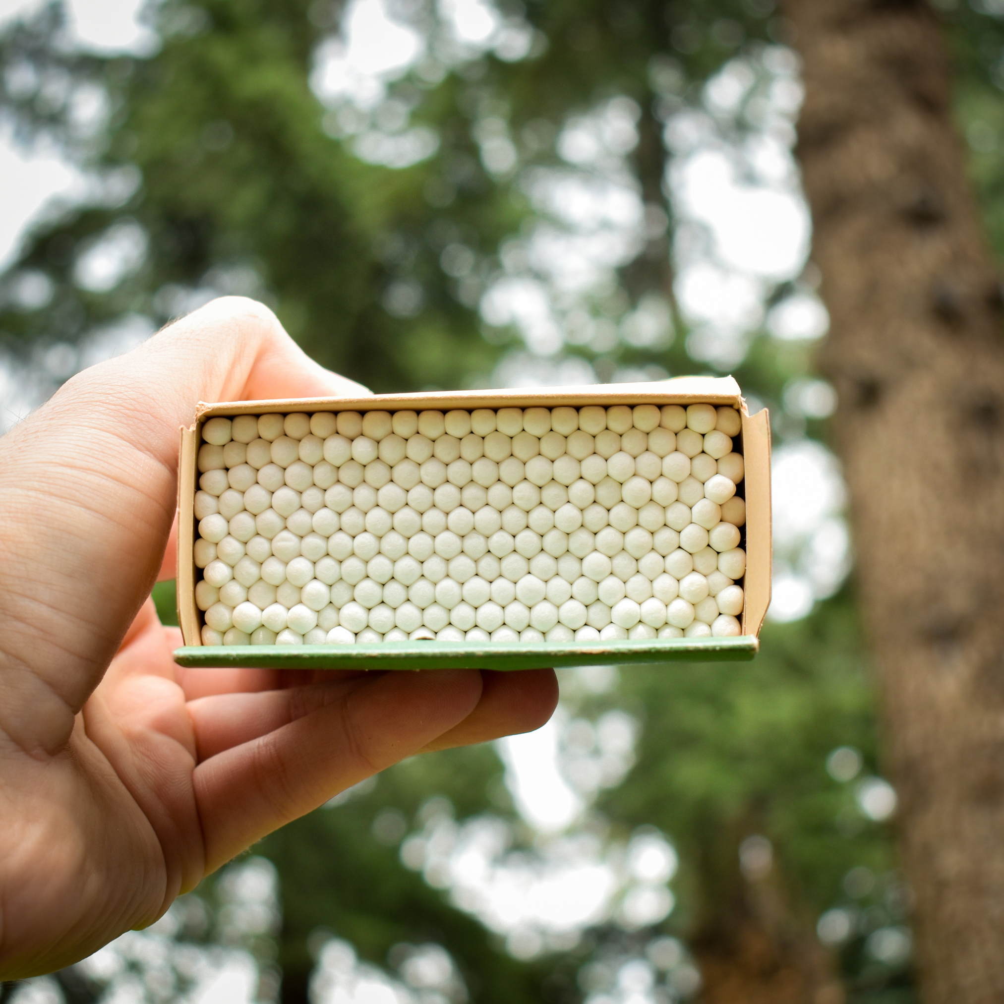 cotonitos de bambú Biobrands ecológicos naturales biodegradables